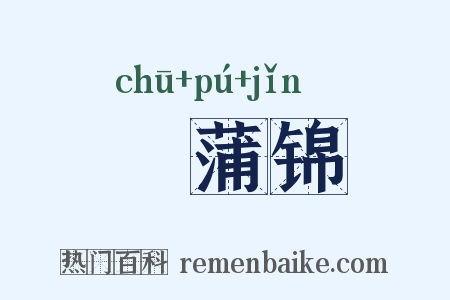 摴蒲锦是什么意思的图片